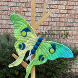 Alas de mariposa luna dulces sueños