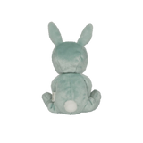 Biscuit Bunny Dinky Dinkum