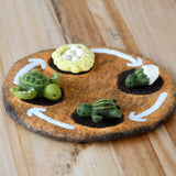 Ciclo de vida de la Tortuga Marina verde