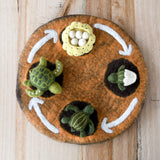 Ciclo de vida de la Tortuga Marina verde