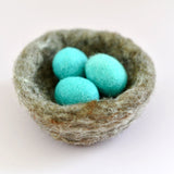 Nido con 3 huevos de petirrojo azul de lana