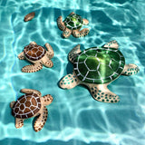 Tortuga verde adulta