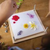 Prensa de flores y hojas