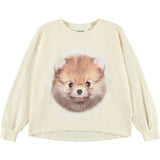 Reniza POM Pomeranian