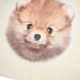 Reniza POM Pomeranian