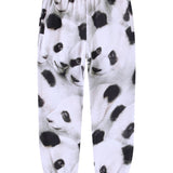 Adan Giant Panda