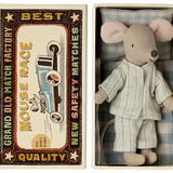Big brother mouse in matchbox