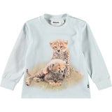 Eloy Cute Cheetas