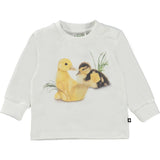 Eloy Ducklings Life