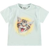 Enzo A-Meow-Sing