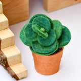 Suculentas de fieltro de jade verde con macetas de papel Lokta  hechas a mano