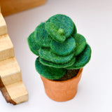 Suculentas de fieltro de jade verde con macetas de papel Lokta  hechas a mano