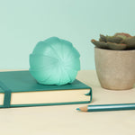 Speks Gump Sea Glass Edge en escritorio