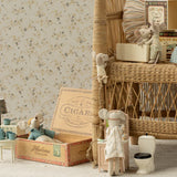 Little Brother, Mouse in Matchbox