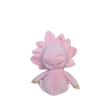 Dinky Dinkum Magnolia