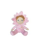 Dinky Dinkum Magnolia