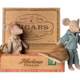 Mum & Dad mice in cigarbox