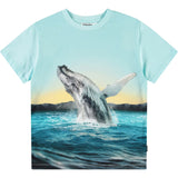 Rame Whale Jump