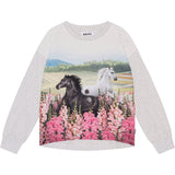 Reniza Meadow Horses