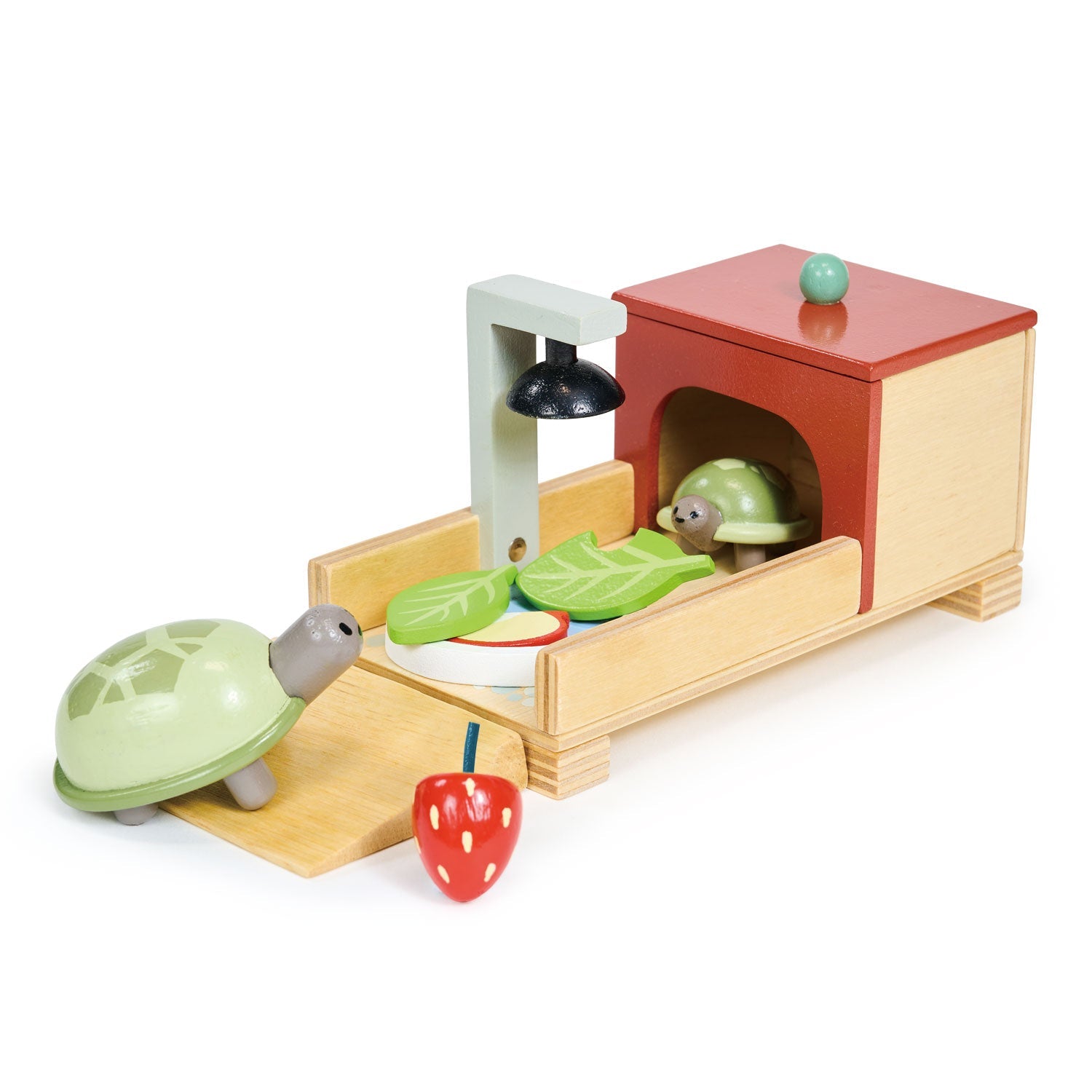 Set de tortugas con terrario (Tortoise Pet Set) - foto 2