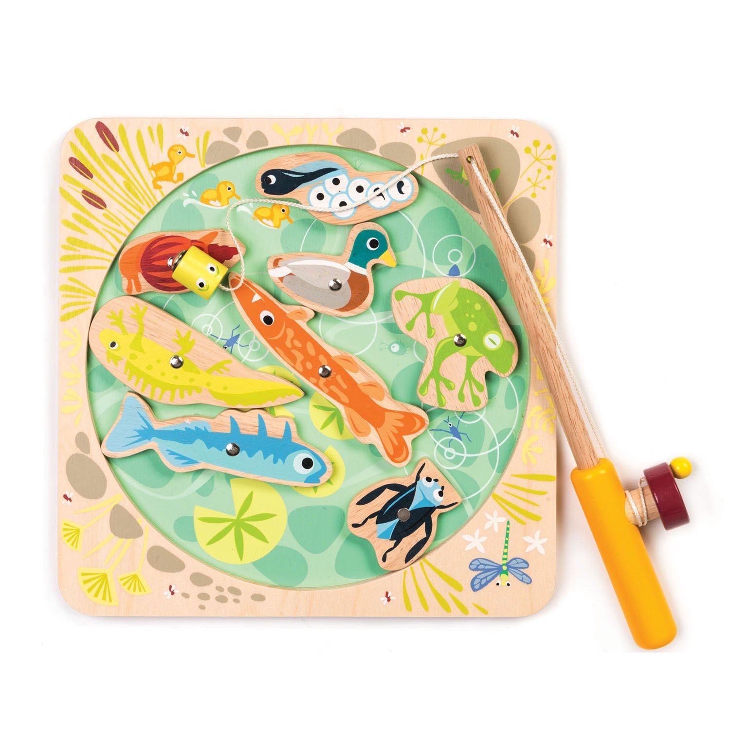 Set de pesca magnética (Pond Dipping)