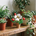 Maceta de fresas con abeja (Strawberry Flower Pot) - foto 4