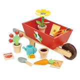 Carretilla de jardín con plantas (Garden Wheelbarrow Set) - foto 2
