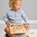 Hotel de insectos (The Bug Hotel) - foto 5