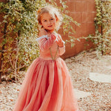 Vestido de princesa Aurora