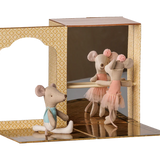 Ballet mice in dance studio, Little sister and brother
