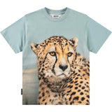 Rubin Big Cheetah Blue