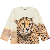 Rollo Big Cheetah Light