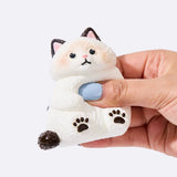 Chubby White Ragdoll Cat Taba Squishy