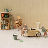 Driver Mouse, Little Sister