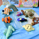Set de peces del arrecife de coral