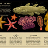 Secret Stories of Nature