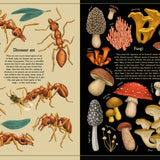 Secret Stories of Nature