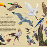 Secret Stories of Nature