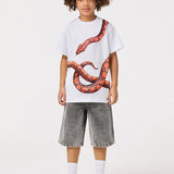 Rubin Red Snake