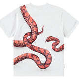 Rubin Red Snake